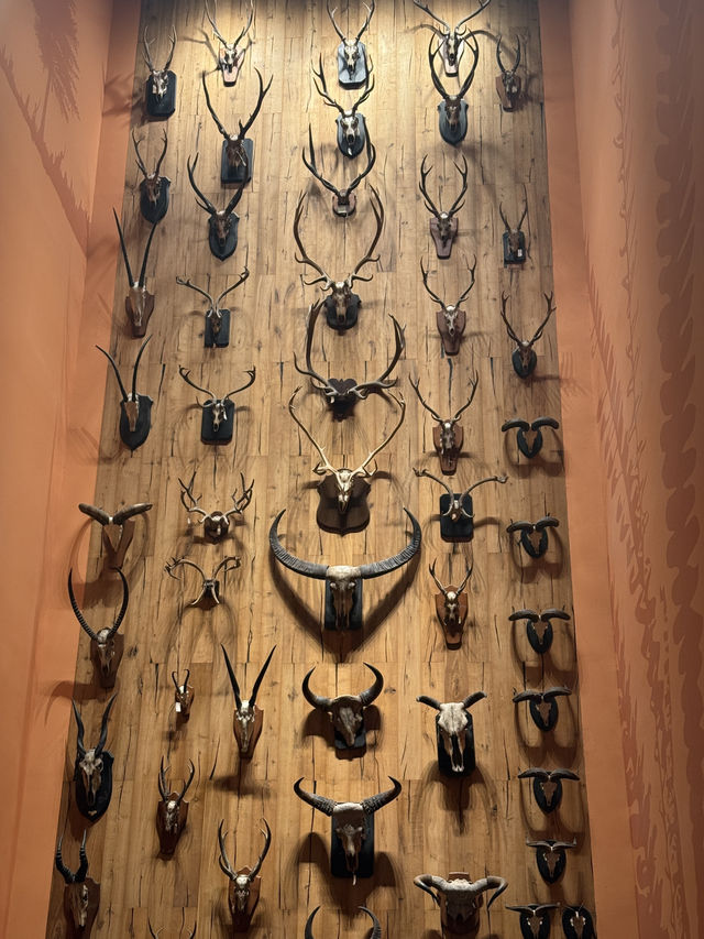 Shanghai Natural History Museum