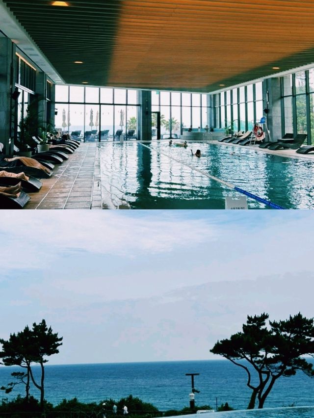 파르나스 호텔 제주 – 오션뷰 수영장에서 보낸 완벽한 하루