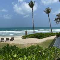  Celes Samui