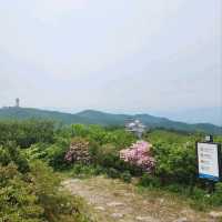 Yeonhwabong Peak Hits Just Right