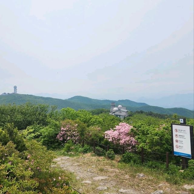Yeonhwabong Peak Hits Just Right