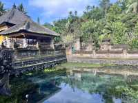 静寂の中の水の聖域|ティルタ ウンプル寺院