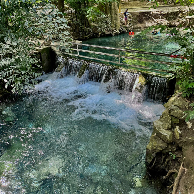 น้ำผุดธรรมชาติ เขาใหญ่ น้ำใสมากกก💦🌳