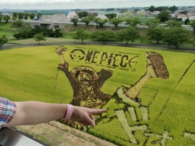 Inakadate Village Observation Deak(논아트, 단보아트, 아오모리현)