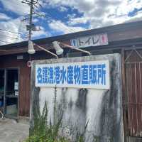 🐟早到才吃得到！名護漁港隱藏版海味食堂，生魚片新鮮厚切、魚湯鮮甜必點！