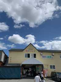 【北海道🇯🇵】道央の四季彩の丘へ💐