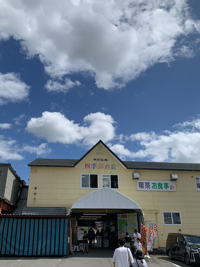 【北海道🇯🇵】道央の四季彩の丘へ💐