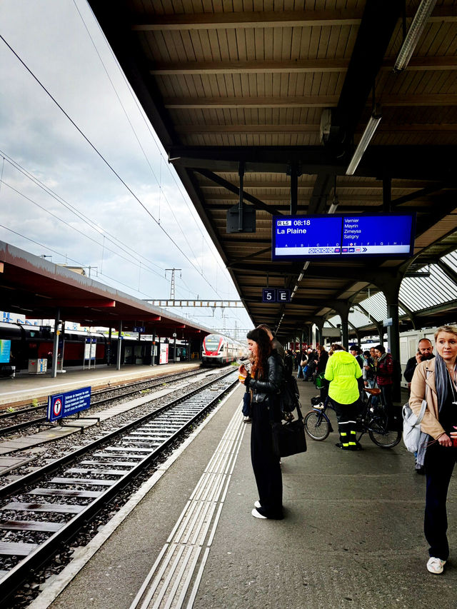 Summer Journeys in Switzerland: Riding with SBB