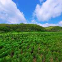 Korea's First Ramsar Wetland