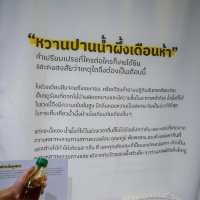 เพราะน้ำผึ้งไม่ได้มีแค่รสหวาน 🐝