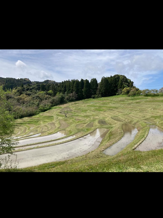 🌾日本の原風景に癒される「大山千枚田」で心洗われる旅を