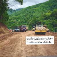 ถ่ายรูปสะพานไม้ไผ่วิวทุ่งนา กับ วัดนาคูหา📍แพร่ 