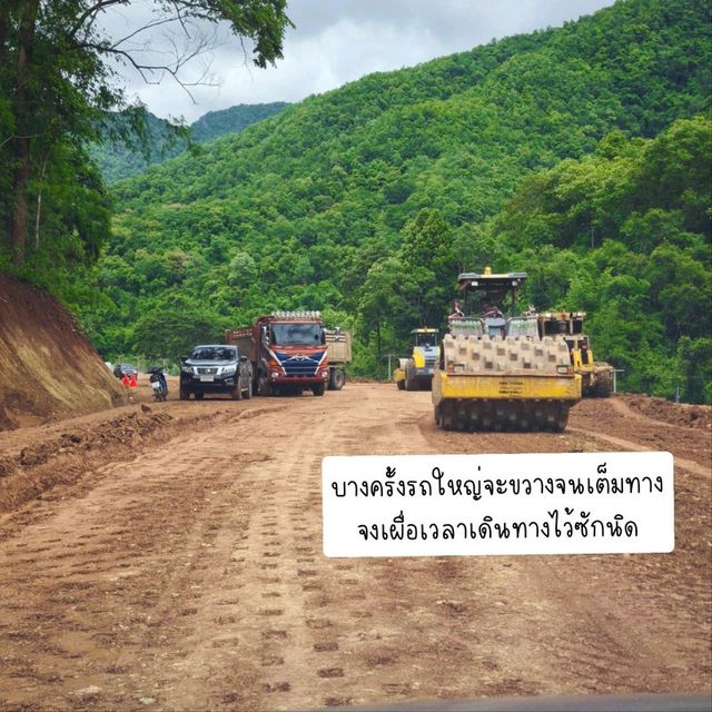 ถ่ายรูปสะพานไม้ไผ่วิวทุ่งนา กับ วัดนาคูหา📍แพร่ 