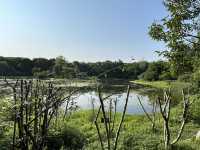 🌿 Huanhuaxi Park – A Calm Escape in the Heart of Chengdu