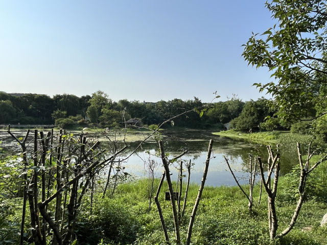 🌿 Huanhuaxi Park – A Calm Escape in the Heart of Chengdu