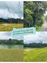 ขับรถชมเขาใหญ่...เส้นทางสีเขียวที่ต้องลองสักครั้ง 