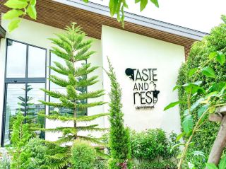 ✨Delicious food and a relaxing space. Take a break at "Taste & Rest" ☕🌿 #Nakhonpathomcafe #TasteAndRes