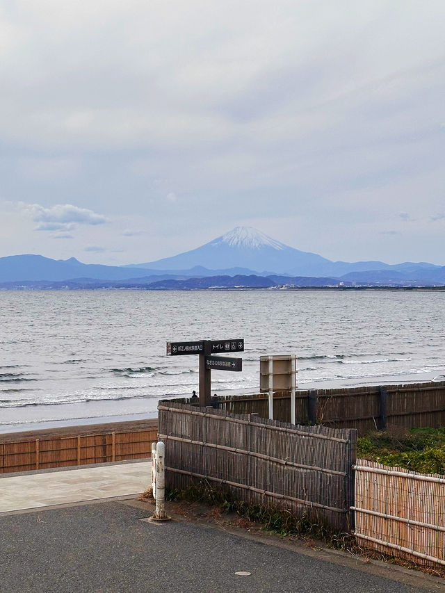 5 Epic Days in Tokyo Your Anime-Loving Kids Will Never Forget!