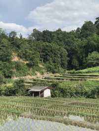 Le Chi Pu HomeStay