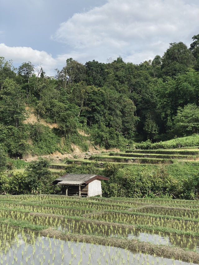 Le Chi Pu HomeStay