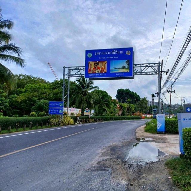 ป่าสนทะเล อุทยานแห่งชาติสิรินาถ