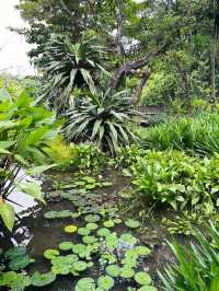 Fun and Food at Far East Organization Children’s Garden