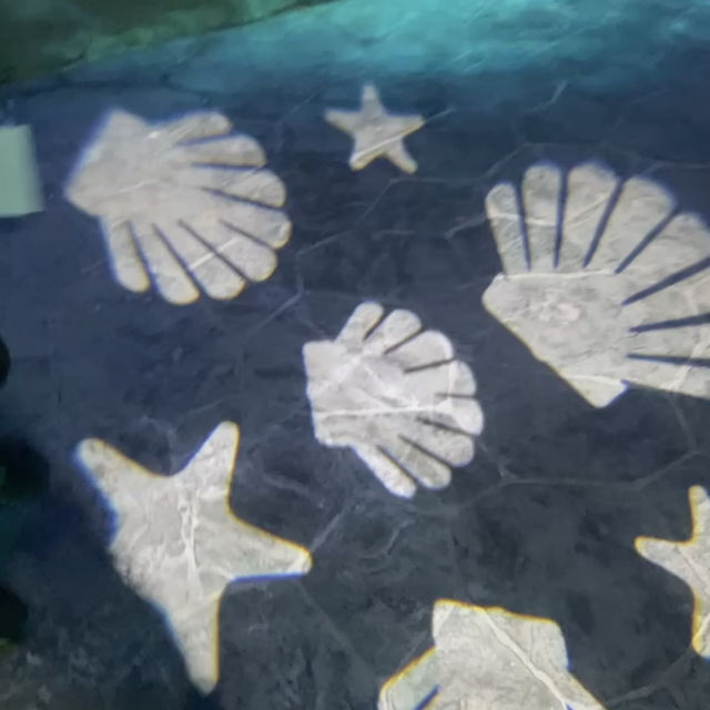 海の中にある珍しい水族館が楽しい！