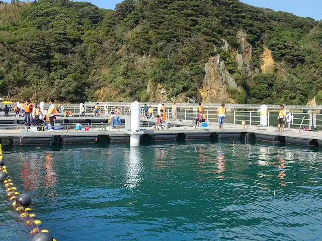  【海と遊ぶ休日🌞】うみんぐ大島で釣りもカヤックも満喫！