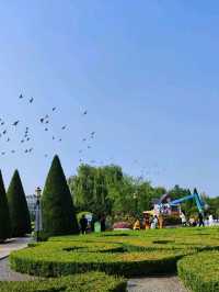 Amazing collections of flowers @ Beijing Garden of World's Flowers