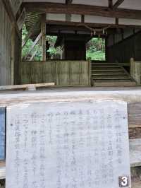 森林裡老神社記憶〔立保神社〕的重生與守護⛩️
