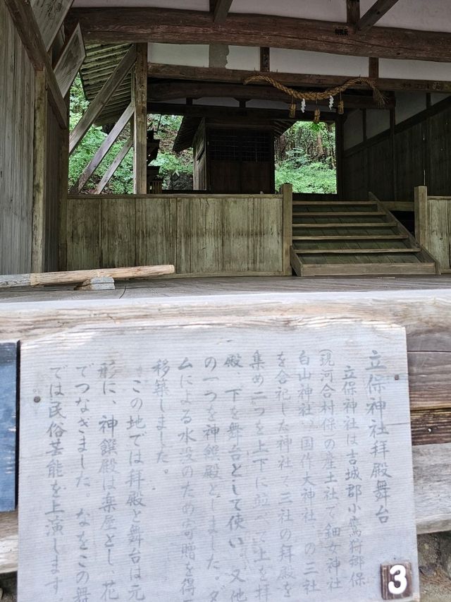 森林裡老神社記憶〔立保神社〕的重生與守護⛩️