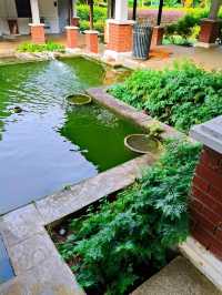 JB's Botanical Gem: Find Serenity & Rare Orchids at This Hidden Urban Garden