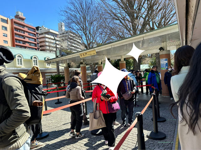🌸城市中的綠色奇蹟！《新宿御苑》四季皆美的東京祕密花園，賞櫻、避暑、療癒心靈一次到位🍁🌿 