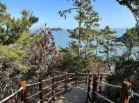 Beachy Bliss at Jindo Sol Beach Resort
