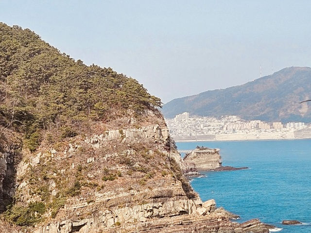 Amnam Park, Busan: A Natural Escape with Coastal Trails and Dinosaur History