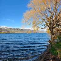 Halfway to Everywhere: Stunning Sights at Lake Dunstan and the 45th Parallel!