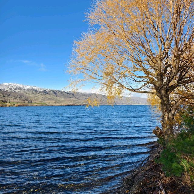 Halfway to Everywhere: Stunning Sights at Lake Dunstan and the 45th Parallel!