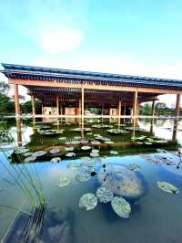 The variety of flora in the vast Water Lily Gardens