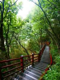 Deokbongsan Coastal Trail Walk 