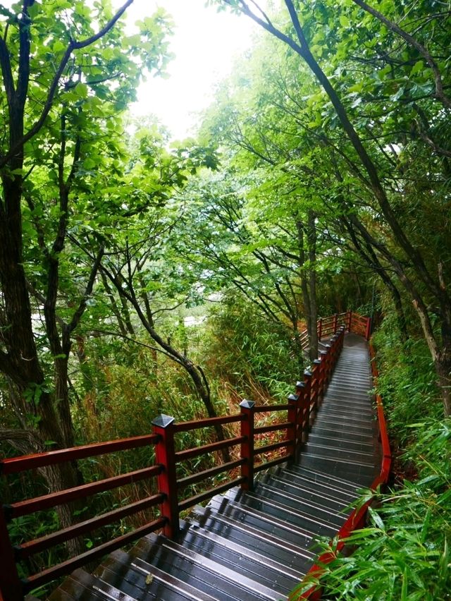 Deokbongsan Coastal Trail Walk 