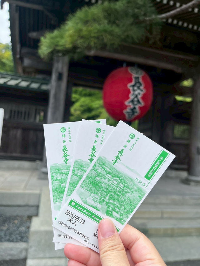 六月限定的長谷寺太夢幻了！