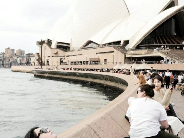 Sydney: All Is Sydney, Made My Day! 🇦🇺❤️