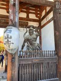【紫式部も愛した絶景寺院🌸】石山寺で文学と自然の旅📖🍁