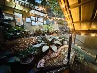Chill by the Lake at Mealia Café