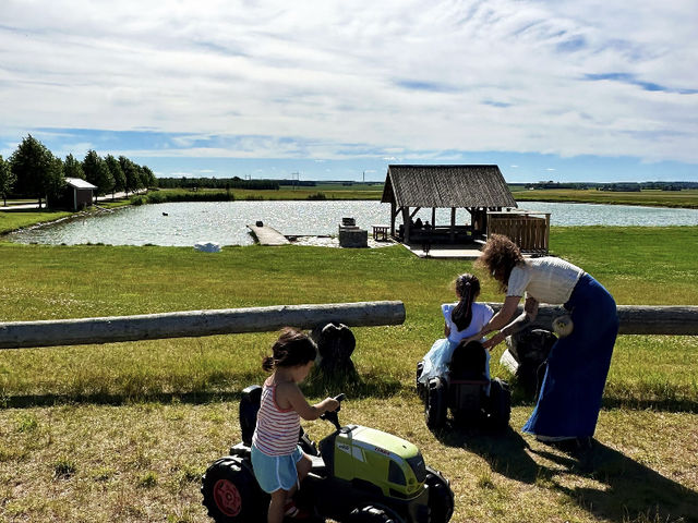 Summer Berry Picking in Sweden: A Sweet Tradition! 🍓🫐