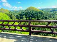 Sweet Views at Chocolate Hills