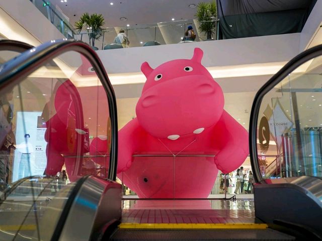 Panda | Hippo ยักษ์บุก ICON🐼🦛