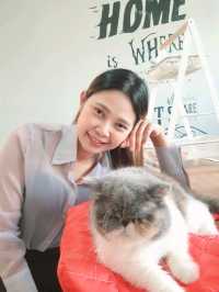 Catster by Kingdomoftigers พระประแดง