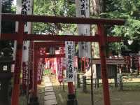 【雑司ヶ谷　鬼子母神　夏の朝の散歩】