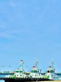 【Yokosuka Port Market いちご よこすかポートマーケット】